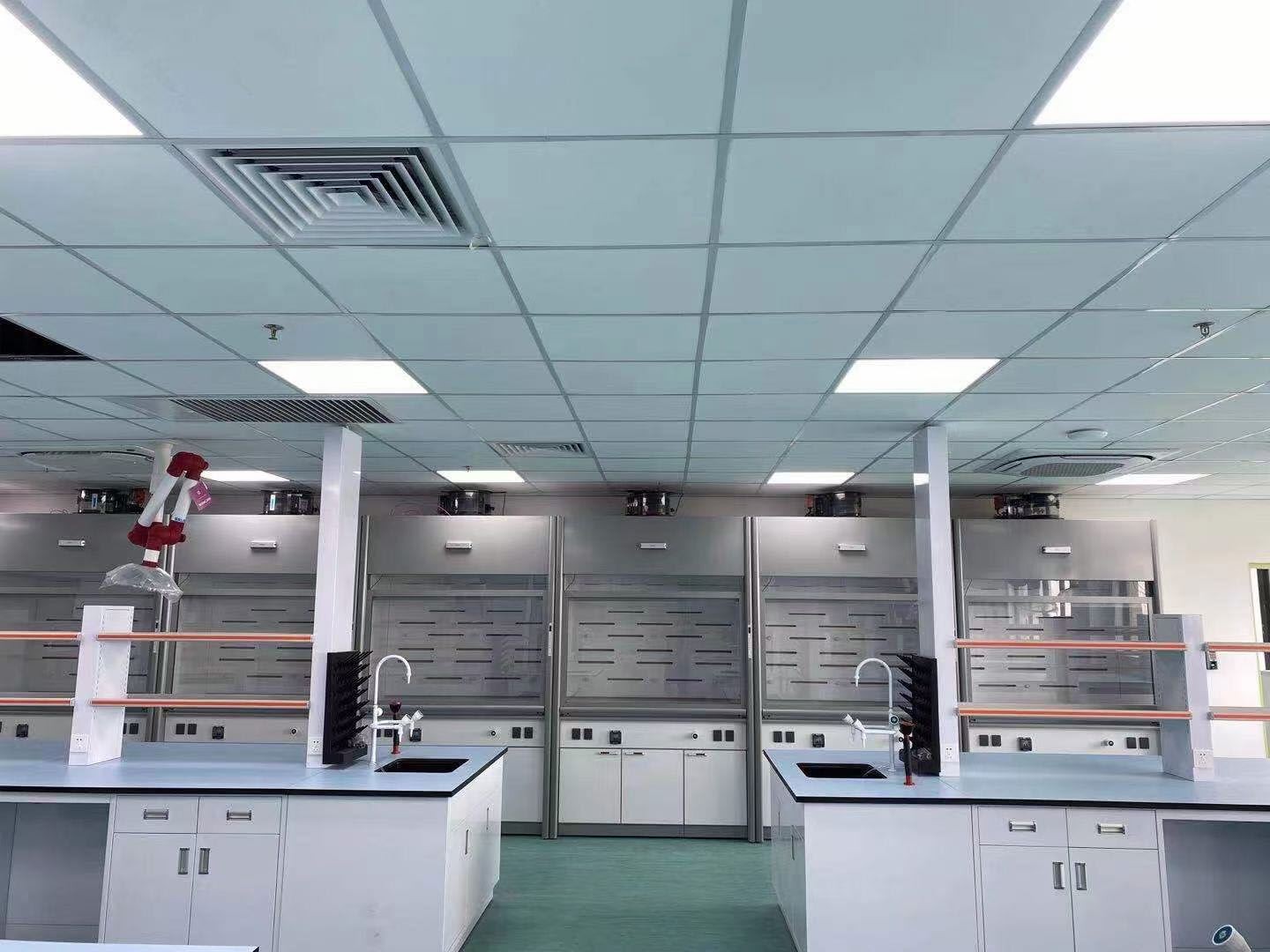 all steel fume hood (7)